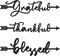 3 Pcs Thankful Grateful Blessed Letter Sign Wood Cutout Sculptures Arrow Signs Wall Decor Black Letters Rustic Wall Art for Home Bathroom Bedroom Farmhouse Kitchen Thanksgiving Decor(Black)